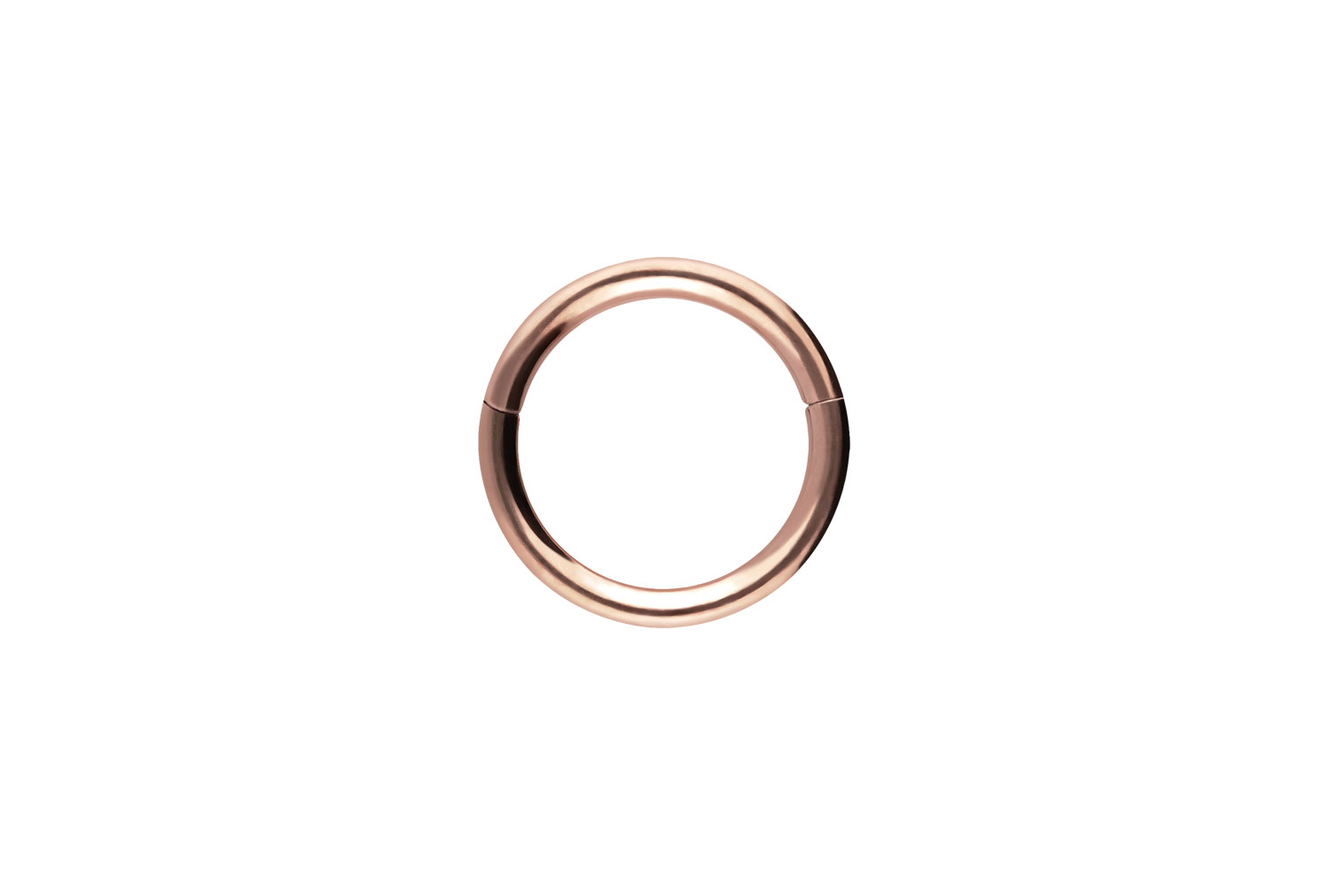 Chirurgenstahl Segmentring Clicker Piercing